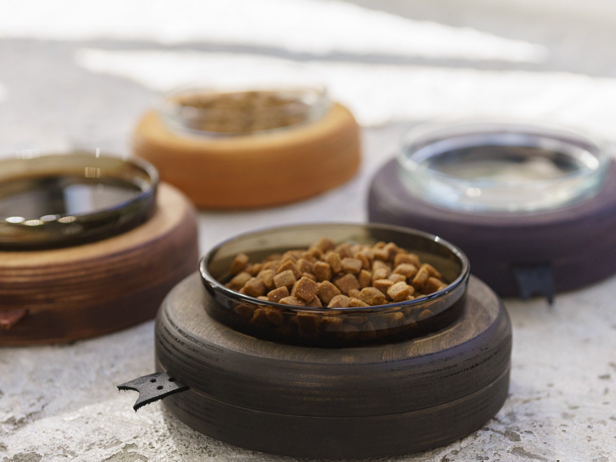 Cat Bowls Glass Single Stand. Cat Dishes Cat Waterer Cat Etsy