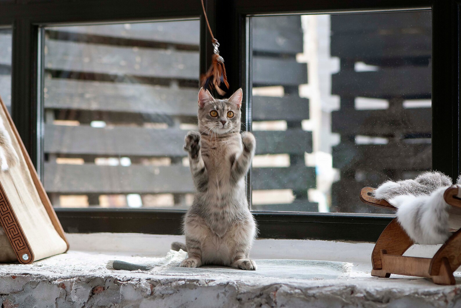 Cat Toys Leather Cat Wand. Cat Wand Toys Toys for Cats Etsy