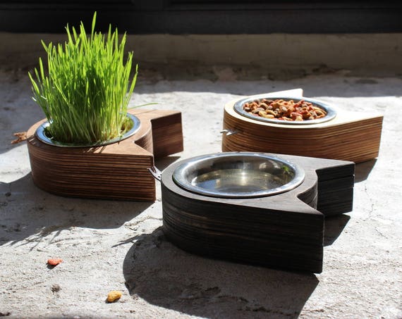 Cat Bowl Kitty Face 1rs Modern Cat Bowl Cat Furniture Etsy