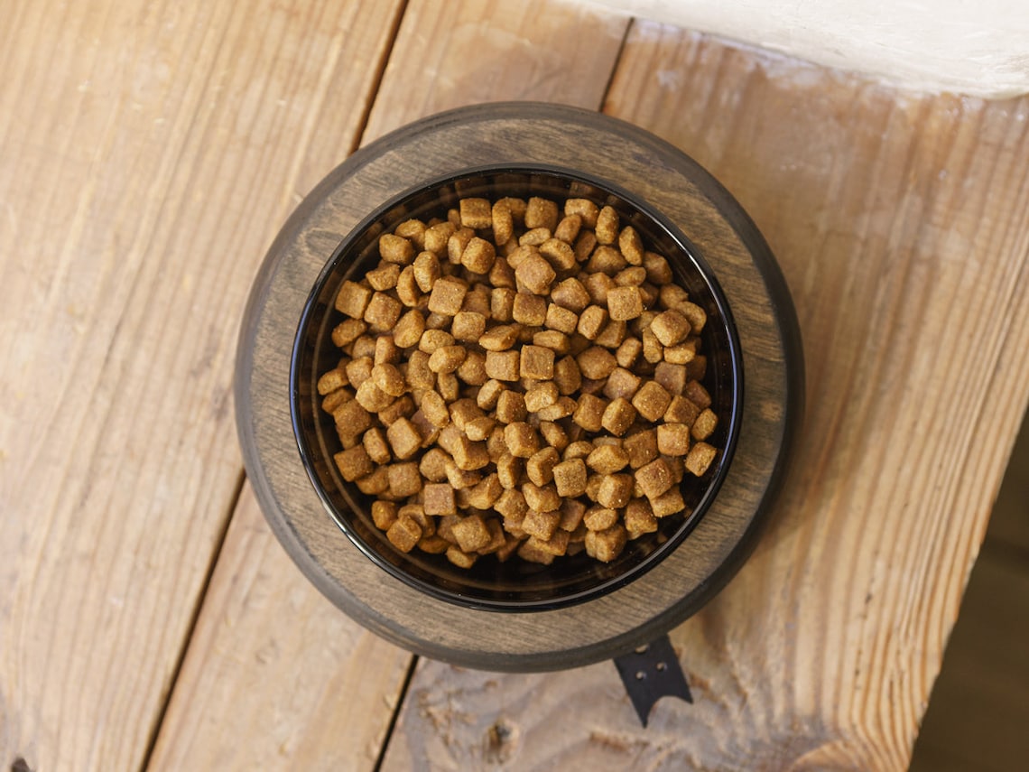 Cat Bowls Single Raised Stand Glass Cat Dishes Cat Waterer Etsy