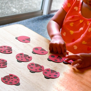 Ladybug Counting Game SVG and Printable PDF