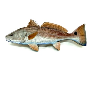 Redfish Wooden Wall Decor