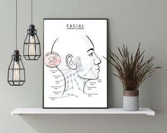 Impresión del sistema linfático facial, diagrama de drenaje linfático, arte mural educativo, decoración de salón, imprimible para esteticista, anatomía de spa médico