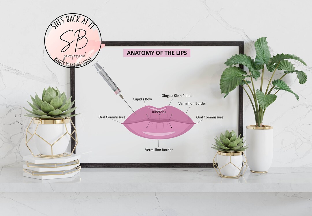 Lip Anatomy, Lip Decor, Lip Filler Poster, Lip Filler Print, Med Spa