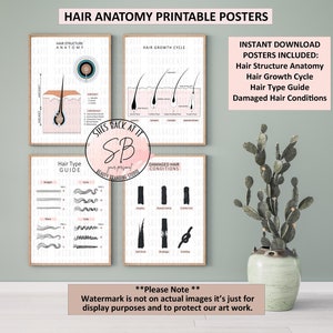 Kapperposters, gids haartype, afdruk haargroeicyclus, grafiek beschadigd haar, anatomie haarstructuur, afdrukbaar salondecor