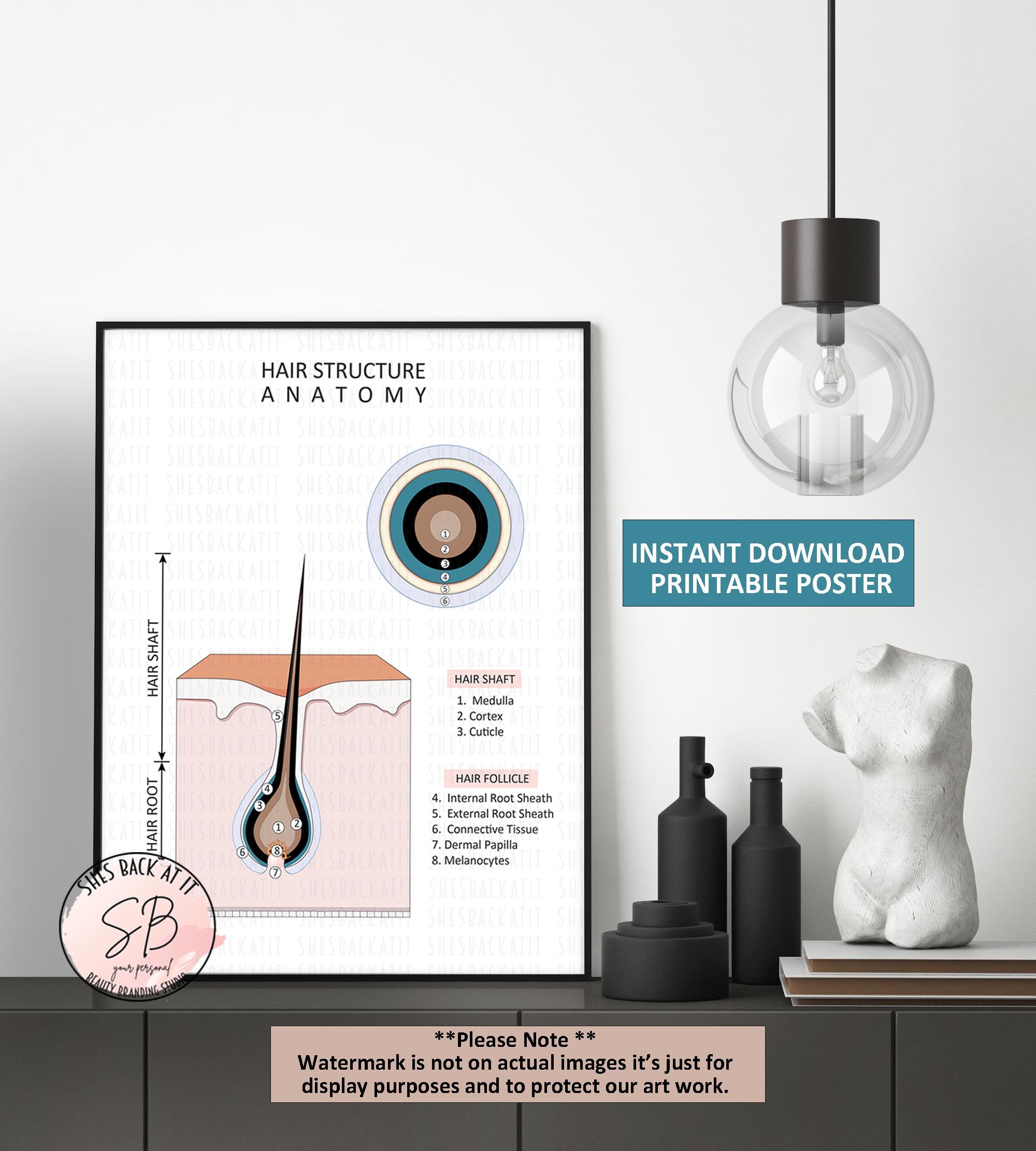 Hair Stylist Posters, Hair Type Guide, Hair Growth Cycle Print, Damaged ...