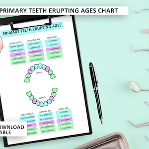 Primary Teeth Eruption Chart, Baby Teeth Eruption Ages, Tooth Development Chart, Baby Tooth Chart, Dental Education, Tooth Chart, Baby Teeth