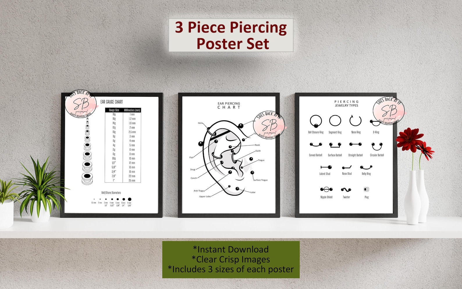 Piercing Chart Poster Set Printable, Piercing Jewelry Types, Ear Gauge ...