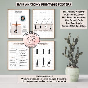 Kapperposters, gids haartype, afdruk haargroeicyclus, grafiek beschadigd haar, anatomie haarstructuur, afdrukbaar salondecor