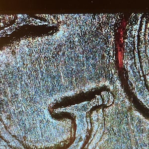 May include: Close-up of a textured, metallic surface with swirling patterns in shades of gray and blue. A thin, red vertical line is visible on the right side. The image has a macro photography style.