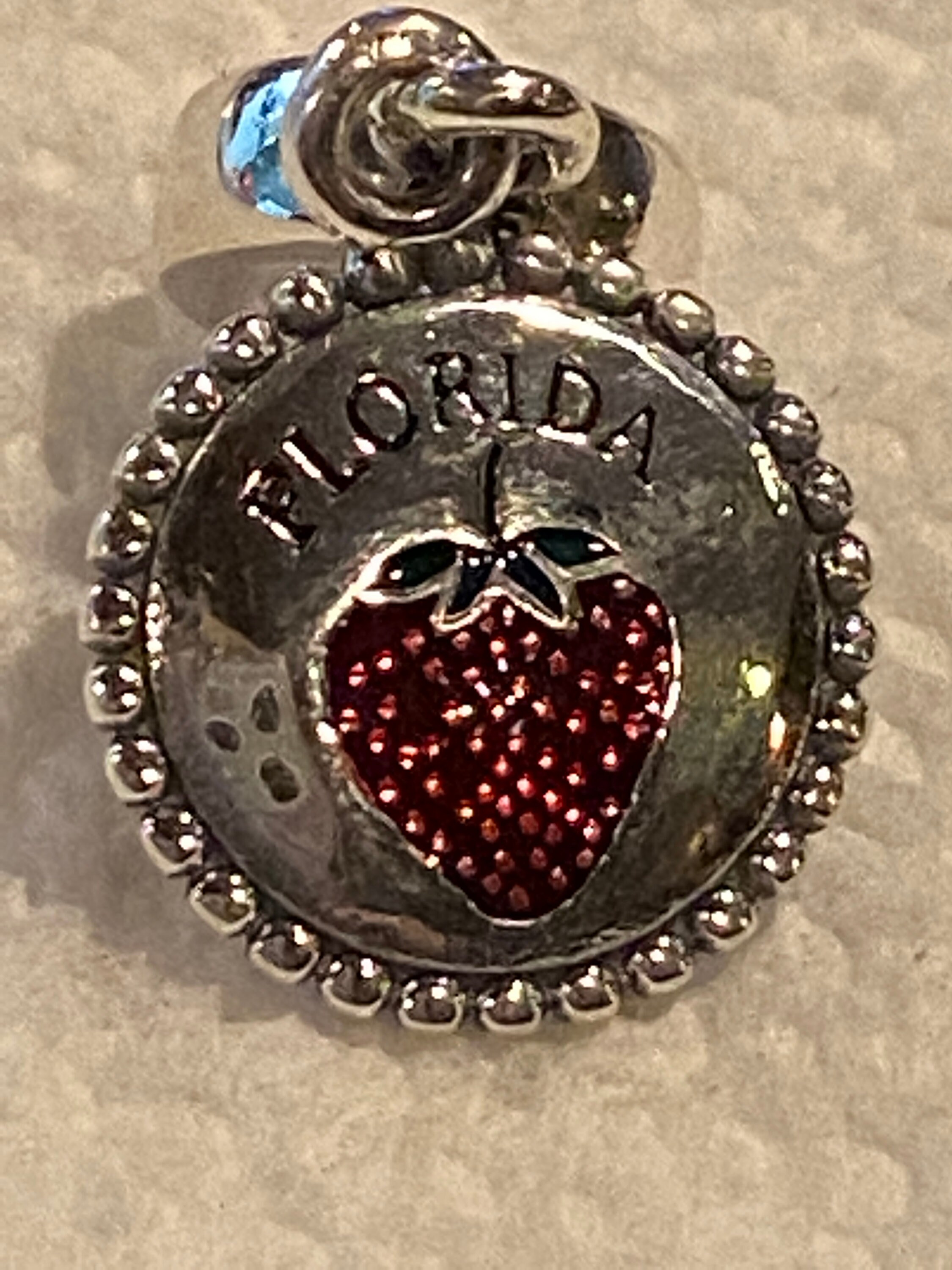Pandora Charms Florida Dangle Sunshine State Charm Travel Etsy