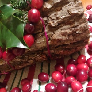 Yule Log Ceremony