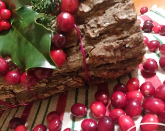 Ceremonia del tronco de Navidad