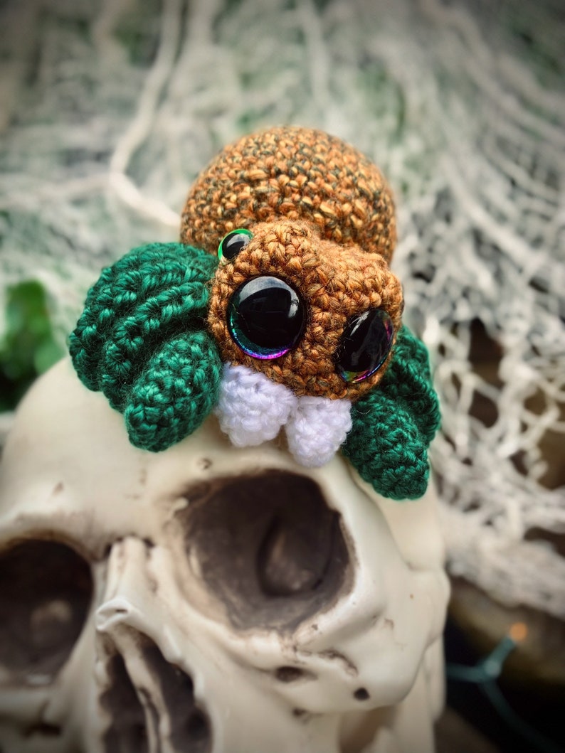 May include: A crocheted spider toy with a brown body, green legs, and large iridescent eyes. The spider is sitting on a white skull.