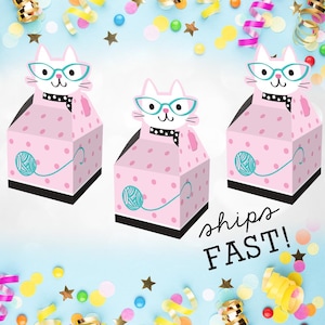 Kitty Party Favor Box Set Cat Theme Party Supply Birthday Treat Container Paper Party Decoration Kitty Birthday Theme Party Box Cat Birthday