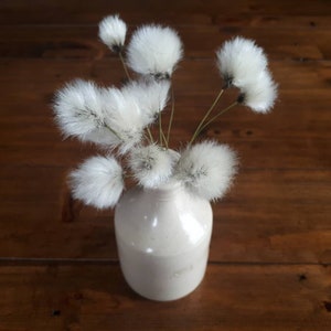 May include: A white ceramic vase with a round body and a narrow neck, filled with a bouquet of fluffy white flowers.