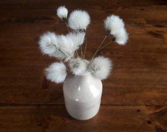 Dried Cotton Grass, Boho Dried Flower, Boho Decor, Minimalist Decor, Small Dried Flowers