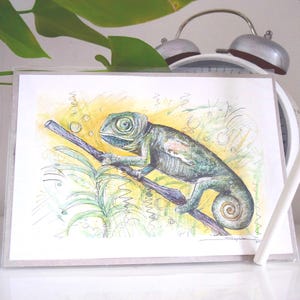 Watercolour paintings of wildlife, Chameleon wall art, A4 wall art prints