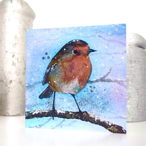 Robin-kerstkaarten, set van zes, vierkante kaarten van 14 x 14 cm met enveloppen