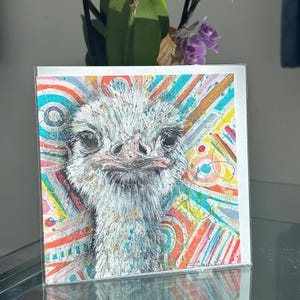 Carte d'anniversaire, carte d'autruche colorée avec enveloppe, carte carrée avec espace intérieur vierge