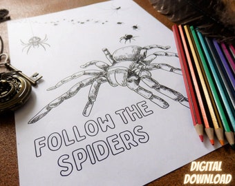 Follow the Spiders - Fantasy inspired A4 colouring sheet - Digital Download - Print at Home - Arachnid - Tarantula - Magical Creatures