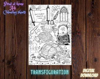 Transfiguration Class - Fantasy inspired A4 colouring sheet - Digital Download - Print at Home - Advanced Level  - Teapot to Tortoise