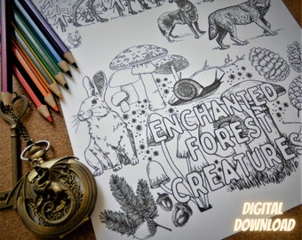Enchanted Forest Creatures - Fantasy inspired A4 colouring sheet - Digital Download - Print at Home - Magical Woodland Stag Deer Wolf Rabbit