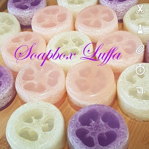 3 pack Spa Loofah