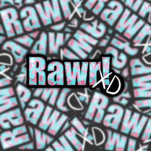 May include: A pink and blue camouflage pattern with the text "Rawr! XD" in black and white.