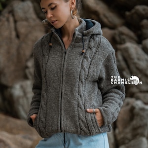 Ibex wool hoodie online