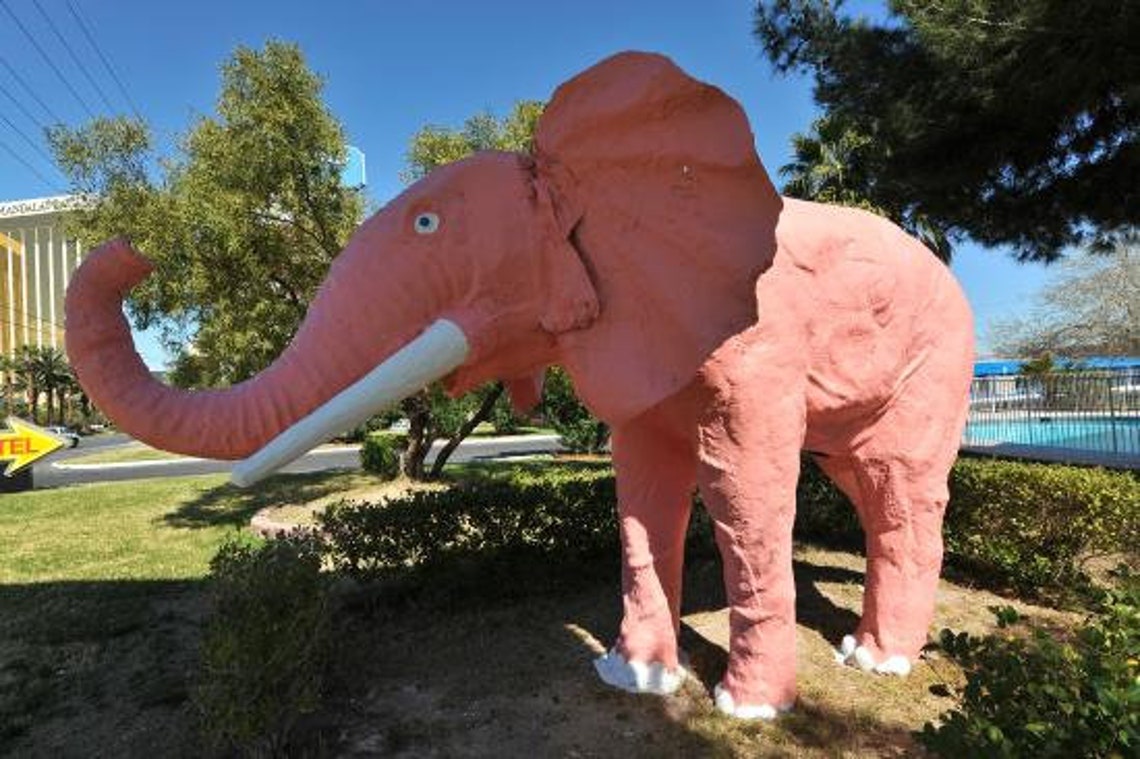 Pink Elephant Las Vegas Etsy