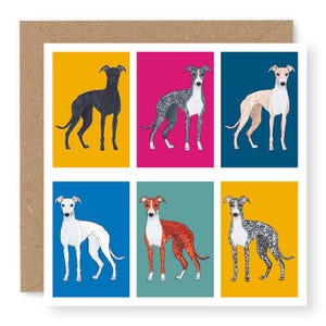 May include: A card with six illustrations of greyhounds in different colors and poses. The greyhounds are on a background of six different colors: yellow, pink, blue, teal, yellow, and orange.