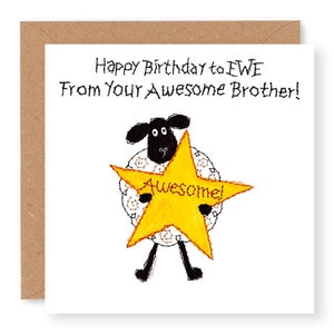 May include: A black and white sheep holding a yellow star with the word "Awesome!" on it. The card says "Happy Birthday to EWE From Your Awesome Brother!"