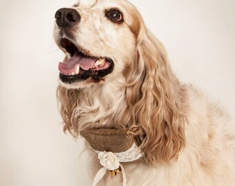 Dog Ring Pillow Etsy