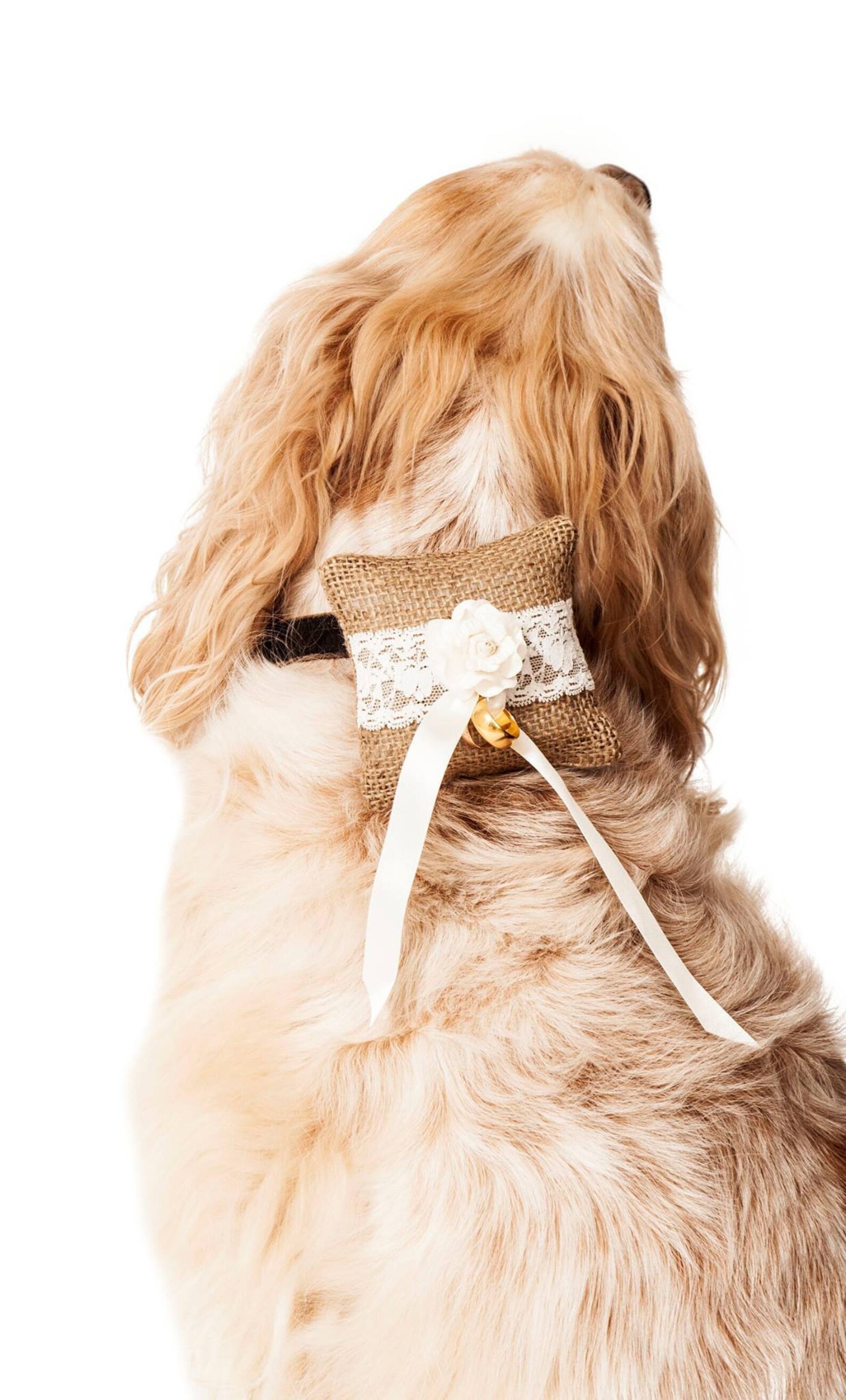 Hund Hochzeit Ring Kissen Haustier Ring Träger Kissen Hund Etsy