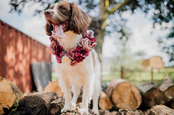 Collier de fleur de chien guirlande de collier de chien  Etsy