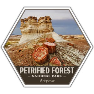 May include: A hexagonal sticker featuring a landscape of the Petrified Forest National Park in Arizona. The image shows petrified wood and rock formations in shades of brown, beige, and tan. The text "PETRIFIED FOREST - NATIONAL PARK - Arizona" is at the bottom.