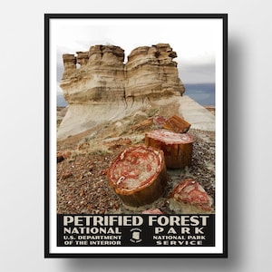 May include: A framed poster featuring a landscape of Petrified Forest National Park with tan rock formations and red-toned petrified wood logs in the foreground. The text reads PETRIFIED FOREST NATIONAL PARK U.S. DEPARTMENT OF THE INTERIOR.