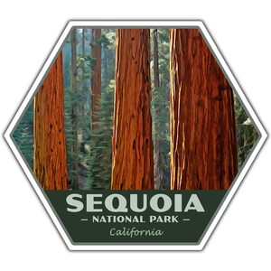 May include: A hexagonal sticker with a scenic image of tall, red-brown sequoia trees in a forest. The text "SEQUOIA - NATIONAL PARK - California" is printed in white on a dark green background at the bottom of the sticker.