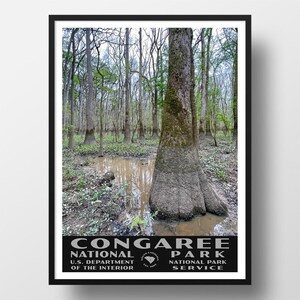 Congaree National Park Poster | Vintage WPA Style Travel Poster | 8&quot; x 10&quot; to 24&quot; x 36&quot; | Made in USA | Free Shipping