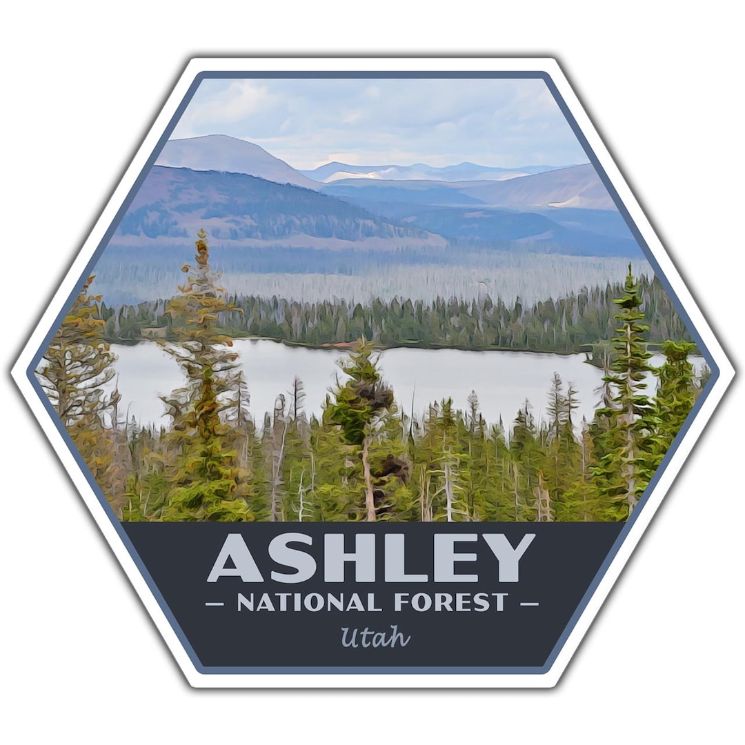 Ashley National Forest Sticker | Ashley Sticker | Vinyl Sticker | 2.25 ...