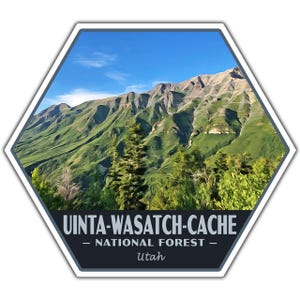 May include: A hexagonal sticker featuring a scenic mountain landscape under a bright blue sky. The image showcases lush green hills and tall trees. The sticker includes the text "UINTA-WASATCH-CACHE NATIONAL FOREST - Utah" in white and gray.