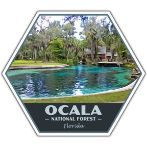 Ocala National Forest Sticker | Ocala Sticker | Vinyl Sticker | 2.25&quot; x 2&quot; to 3.4&quot; x 3.0&quot; | Made in USA | Free Shipping