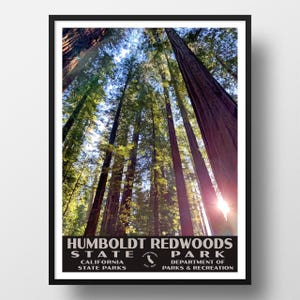 Humboldt Redwoods State Park Poster | Vintage WPA Style Travel Poster | 8&quot; x 10&quot; to 24&quot; x 36&quot; | Made in USA | Free Shipping
