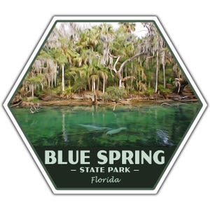 May include: A hexagonal sticker featuring a scenic view of Blue Spring State Park in Florida. The image shows clear turquoise water with manatees, lush green trees, and the text "BLUE SPRING - STATE PARK - Florida".
