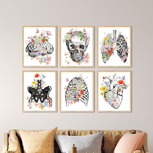 Medical office wall art, Osteopathic Physician, Doctor Graduation Gifts, Brain heart lungs rig cage, Anatomy Poster Set, Flowers with Organs