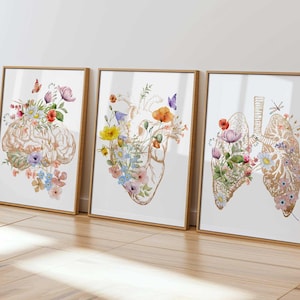 Anatomische kunst, gouden medische kantoorkunst, anatomie wanddecor, bloemenposter menselijk hart, anatomische hersenhartlongafdrukken, cadeau voor student