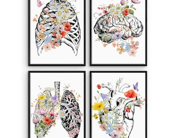 Medical office wall art, Doctor Graduation Gifts, Brain heart lungs rig cage, Anatomy Poster Set, Human Botanical, Anatomical flowers Print