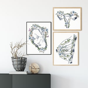 Regalo de partera, Arte de ginecólogo, Impresión de ginecólogo, Regalo de doula, Anatomía del embarazo, Decoración del consultorio médico, Regalo de apreciación de partera