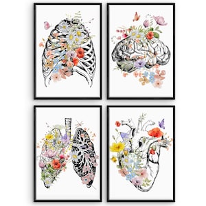 Medical office wall art, Doctor Graduation Gifts, Brain heart lungs rig cage, Anatomy Poster Set, Human Botanical, Anatomical flowers Print